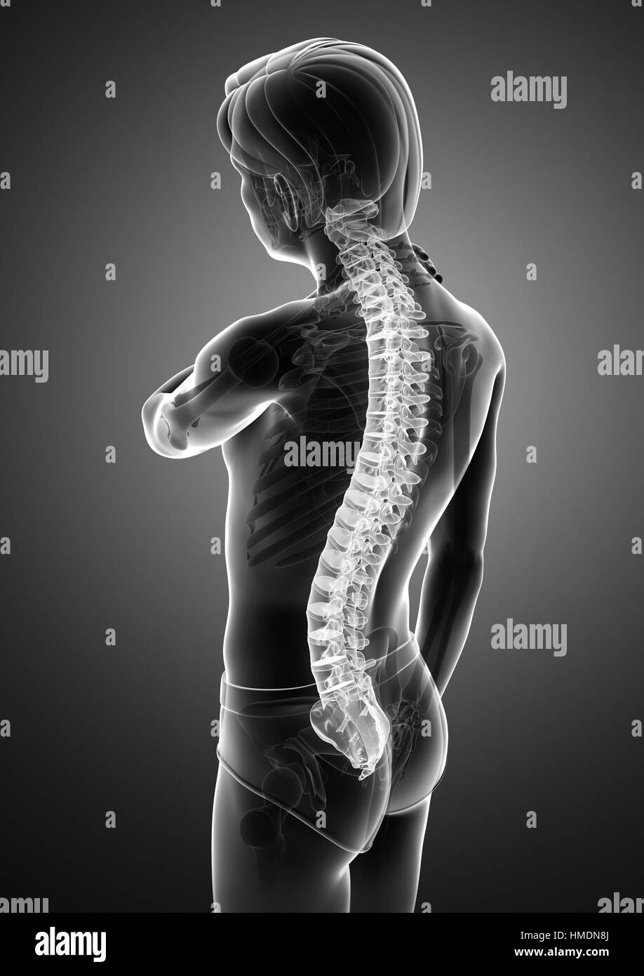 3D Illustration of male Feeling the back pain Stock Photo