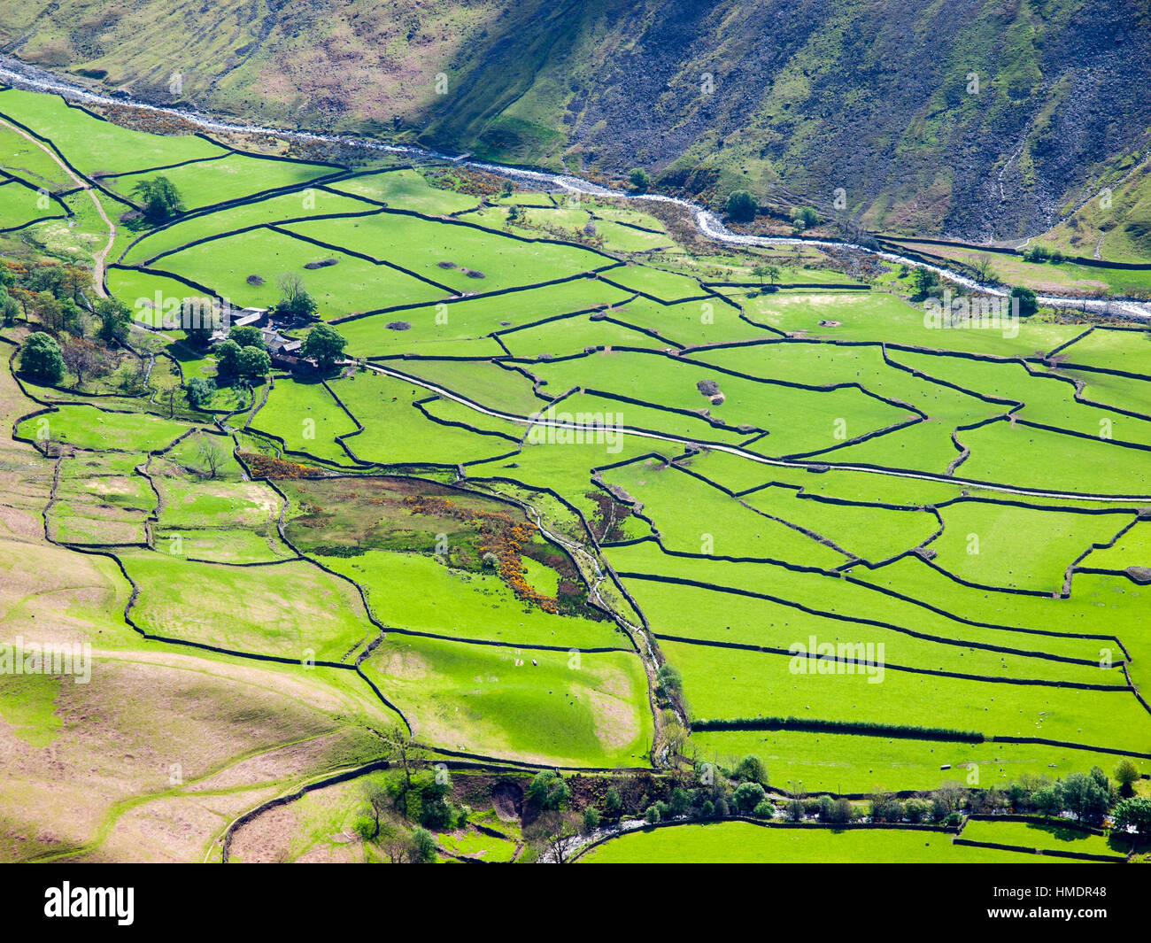 The patchwork fields and walls of Wasdale Head, Lake District National Park,UK Stock Photo