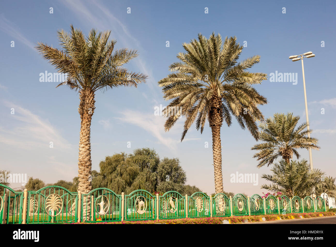 Palm trees in the desert town Mezairaa, Liwa Oasis area in the emirate of Abu Dhabi Stock Photo