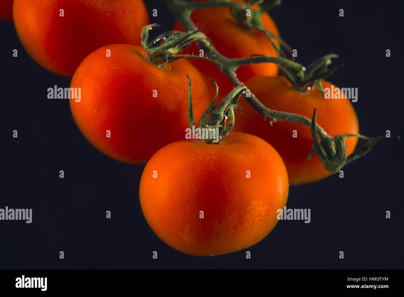 Branch of fresh red tomatoes isolated on the black Stock Photo - Alamy