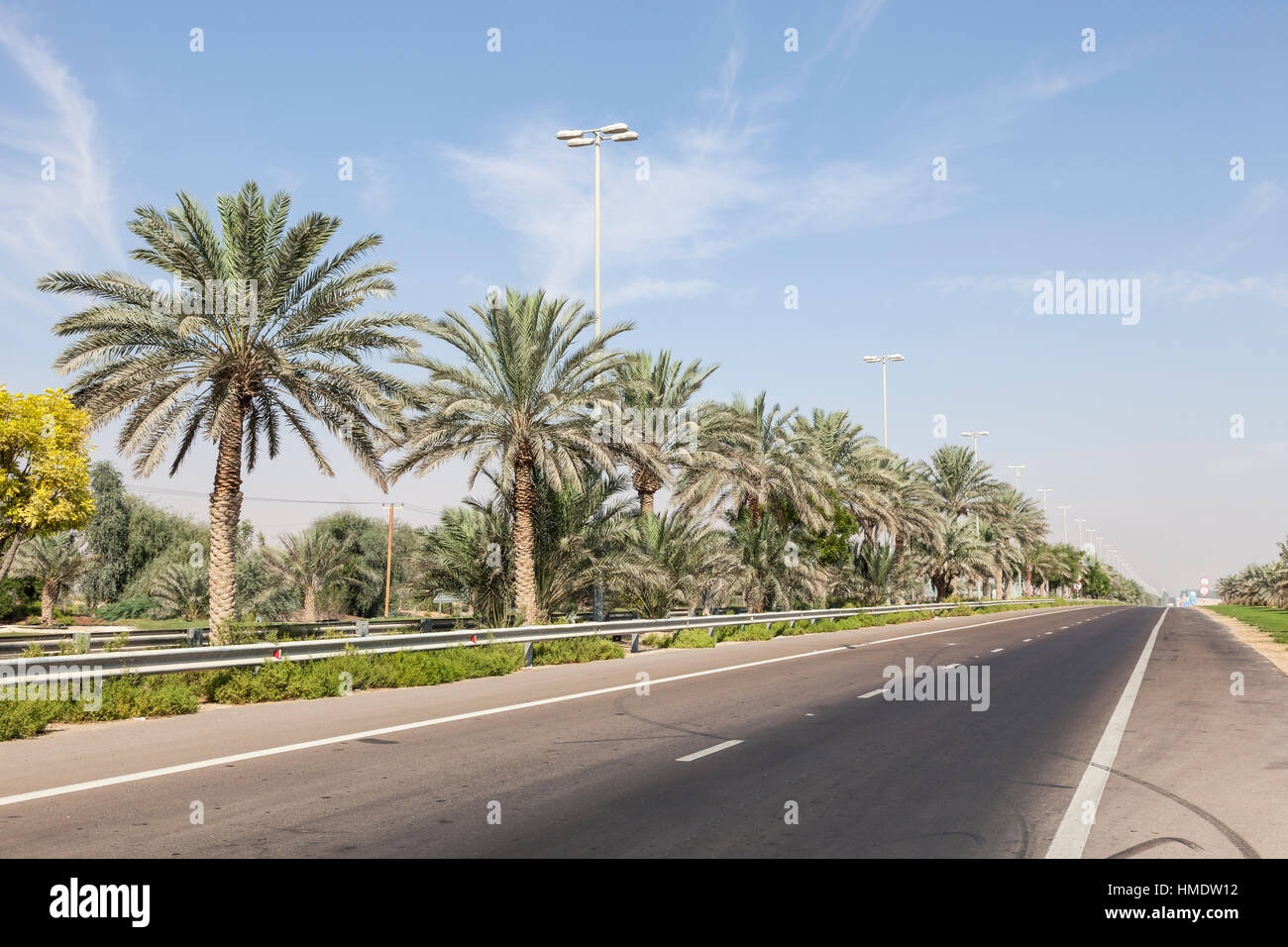 Street with palm trees in the desert town Mezairaa, UAE Stock Photo