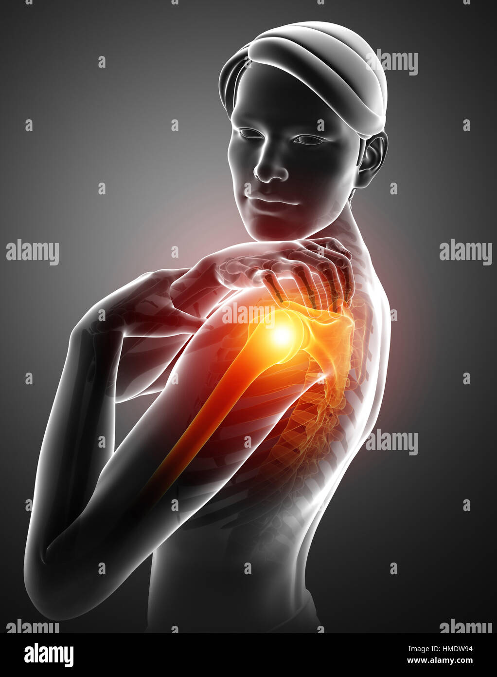 human body anatomy with joint pain Stock Photo Alamy