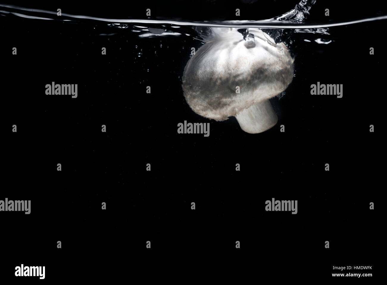 Fresh white mushroom splashing into water isolated on black background ...