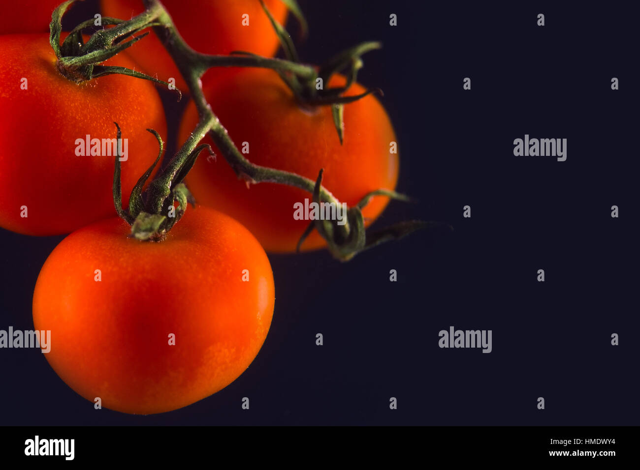 Branch of fresh red tomatoes isolated on the black Stock Photo - Alamy