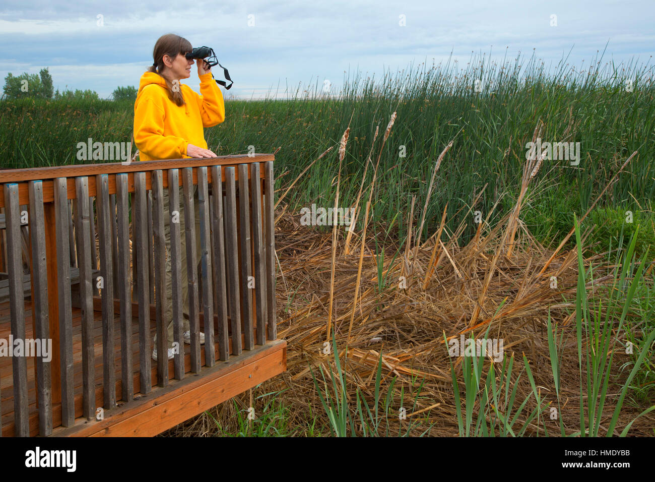 Birding from observation deck, Irrigon Wildlife Area, Irrigon, Oregon