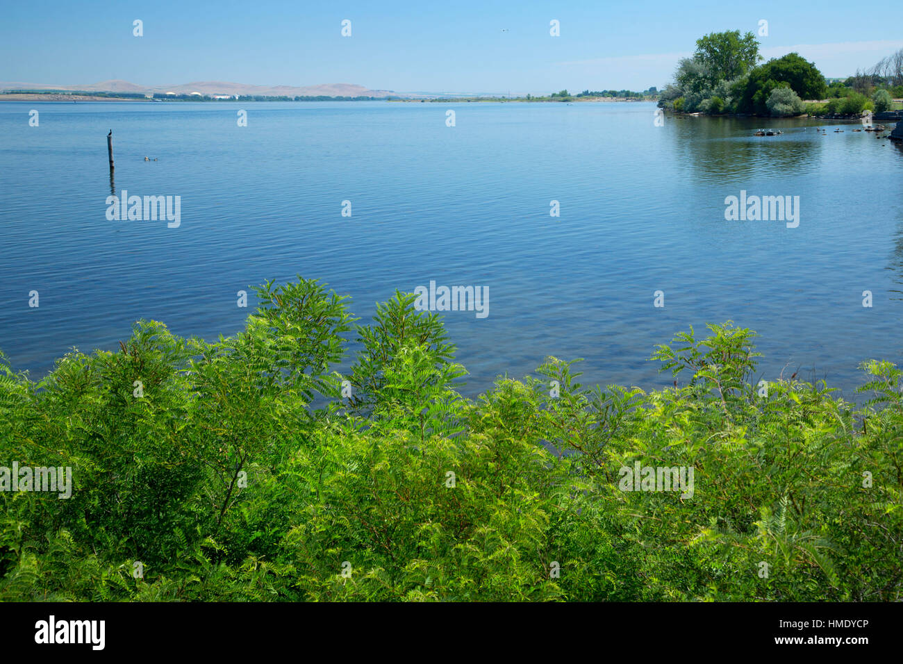 Columbia River, Irrigon Marina Park, Irrigon, Oregon Stock Photo Alamy