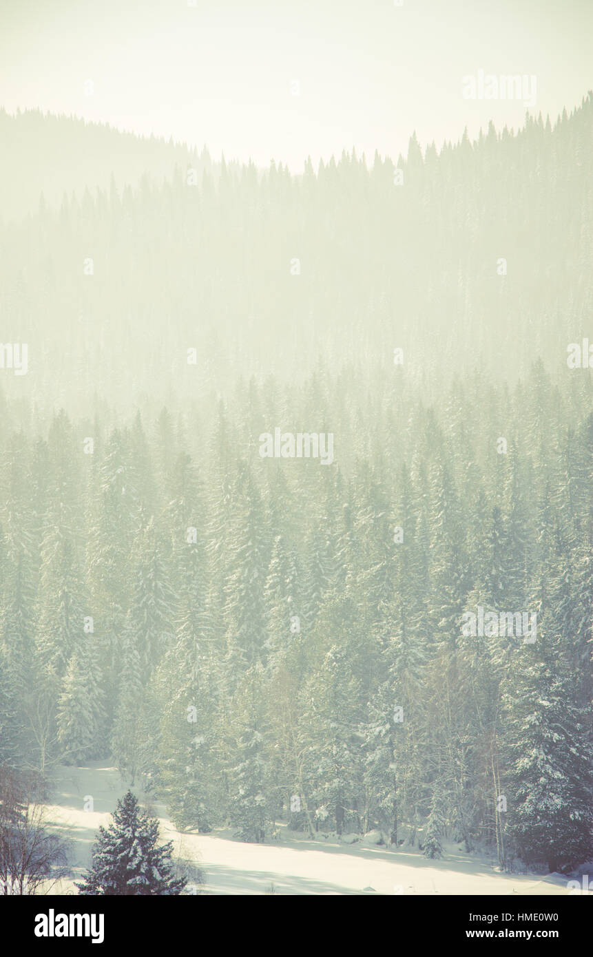 Thick fog covering mountain range hi-res stock photography and images ...