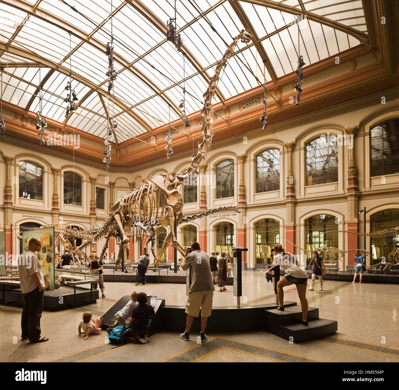 natural-history-museum-berlin-hi-res-stock-photography-and-images-alamy