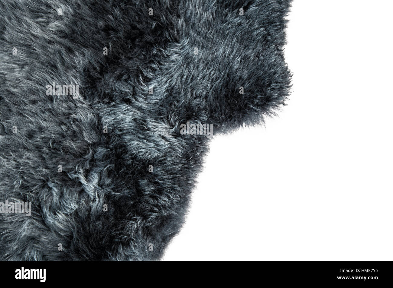 Sheep fur. Grey sheepskin rug background. Wool texture Stock Photo
