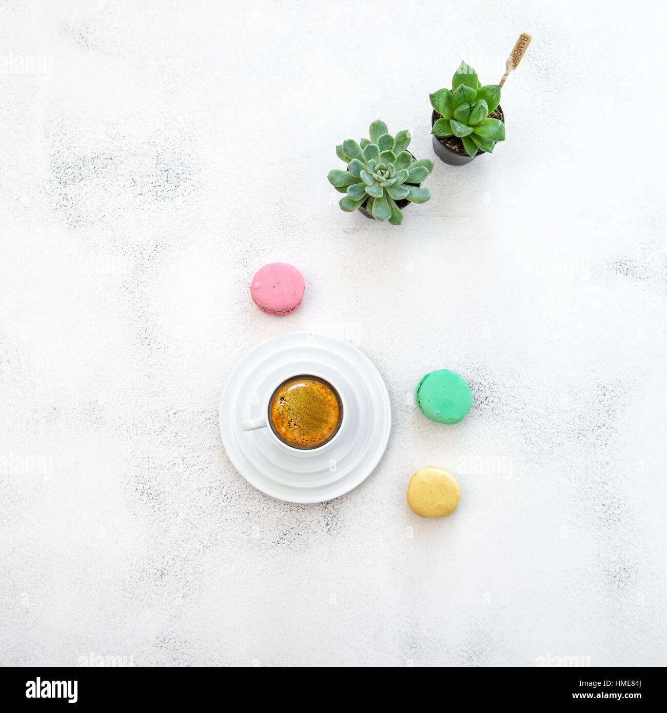 Coffee, macarons cookies, succulent plants on white table background. Flat lay Stock Photo