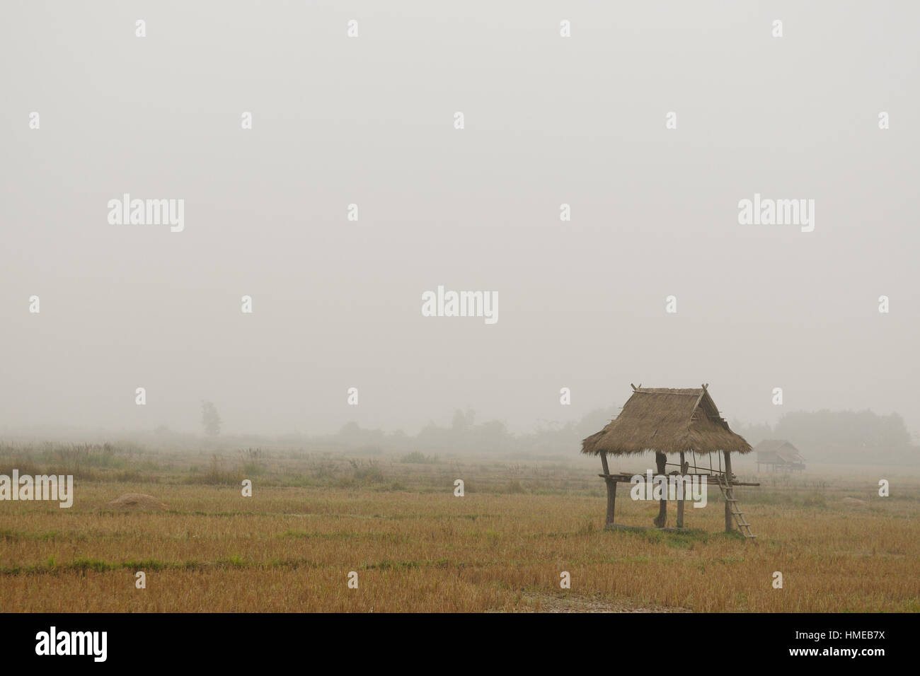 Lao - rural scene on the village near Muang Sing Stock Photo