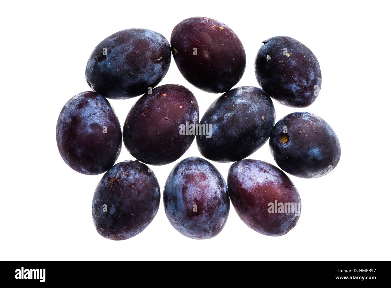 Homegrown organic pile of blue plums isolated on white background