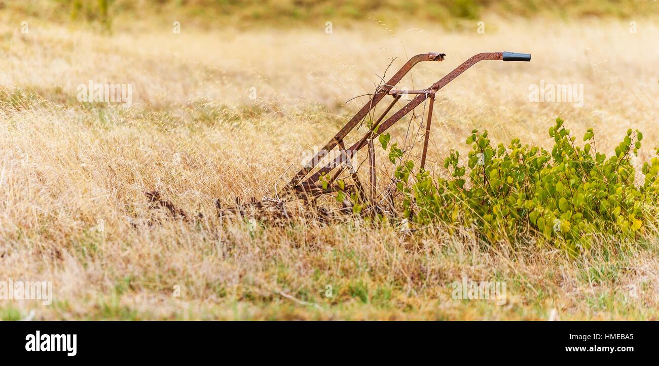 Wine Estate. Old fashioned plough, usually pulled by oxen, lies unused