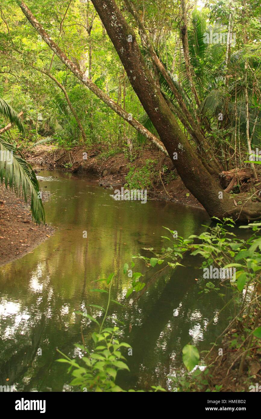 Refugio Nacional de Vida Silvestre Curú, Costa rica Stock Photo Alamy