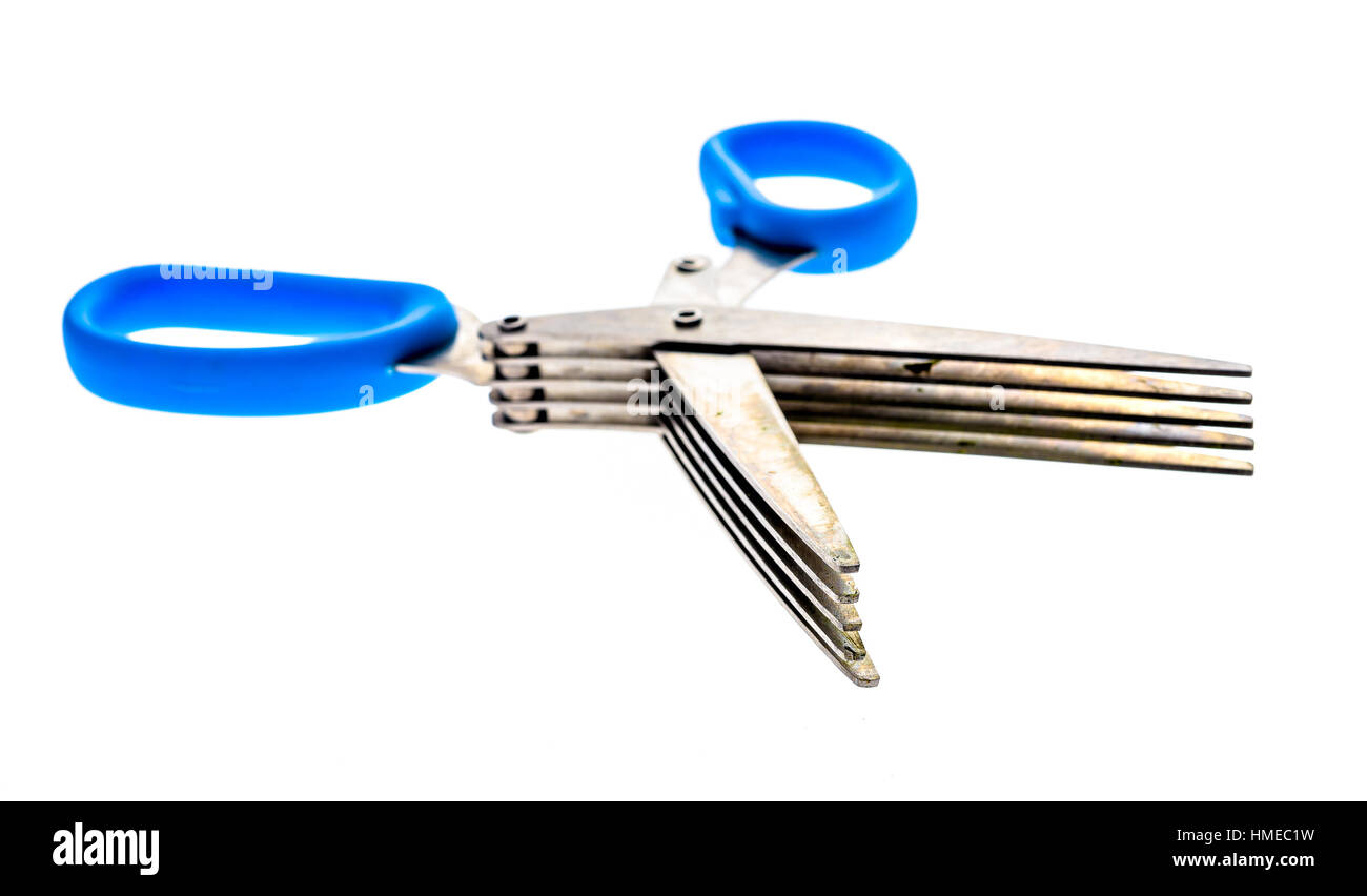 Herb and spice scissors with comb on a white background. Special