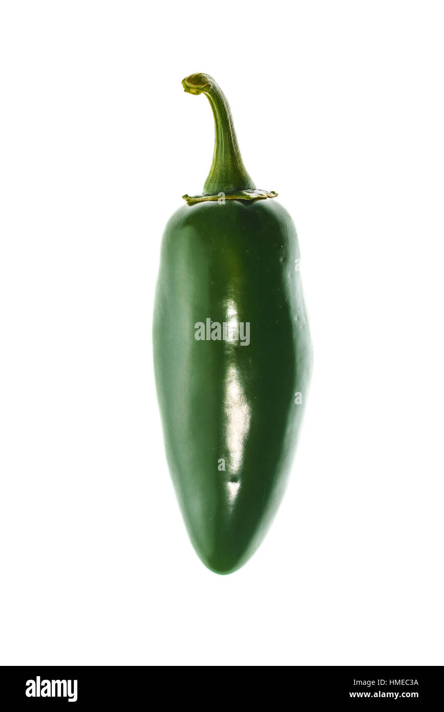 Green ripe jalapeno chili hot pepper from caribbean or mexico isolated
