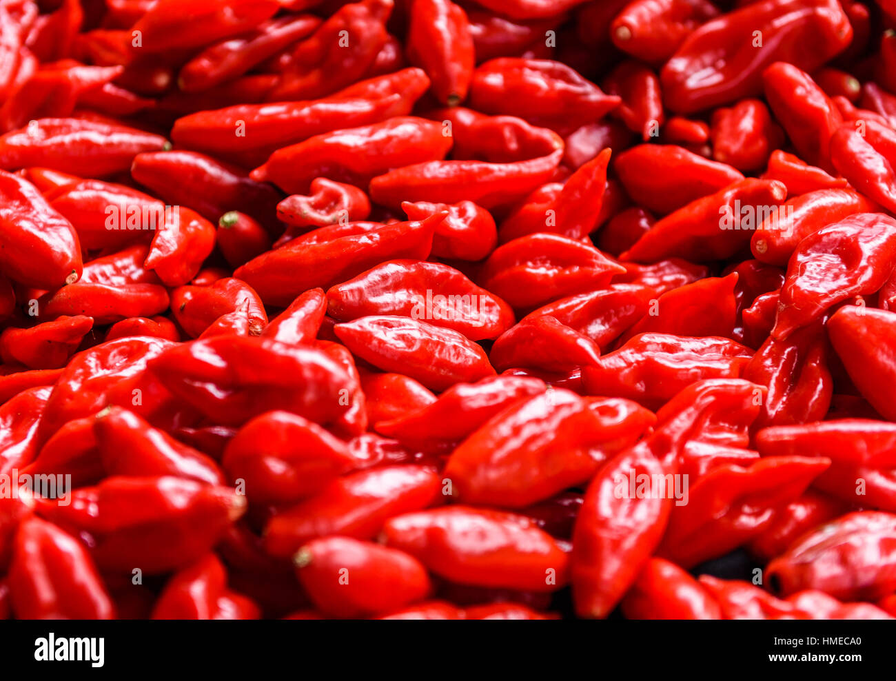Chili lantern High Resolution Stock Photography and Images Alamy