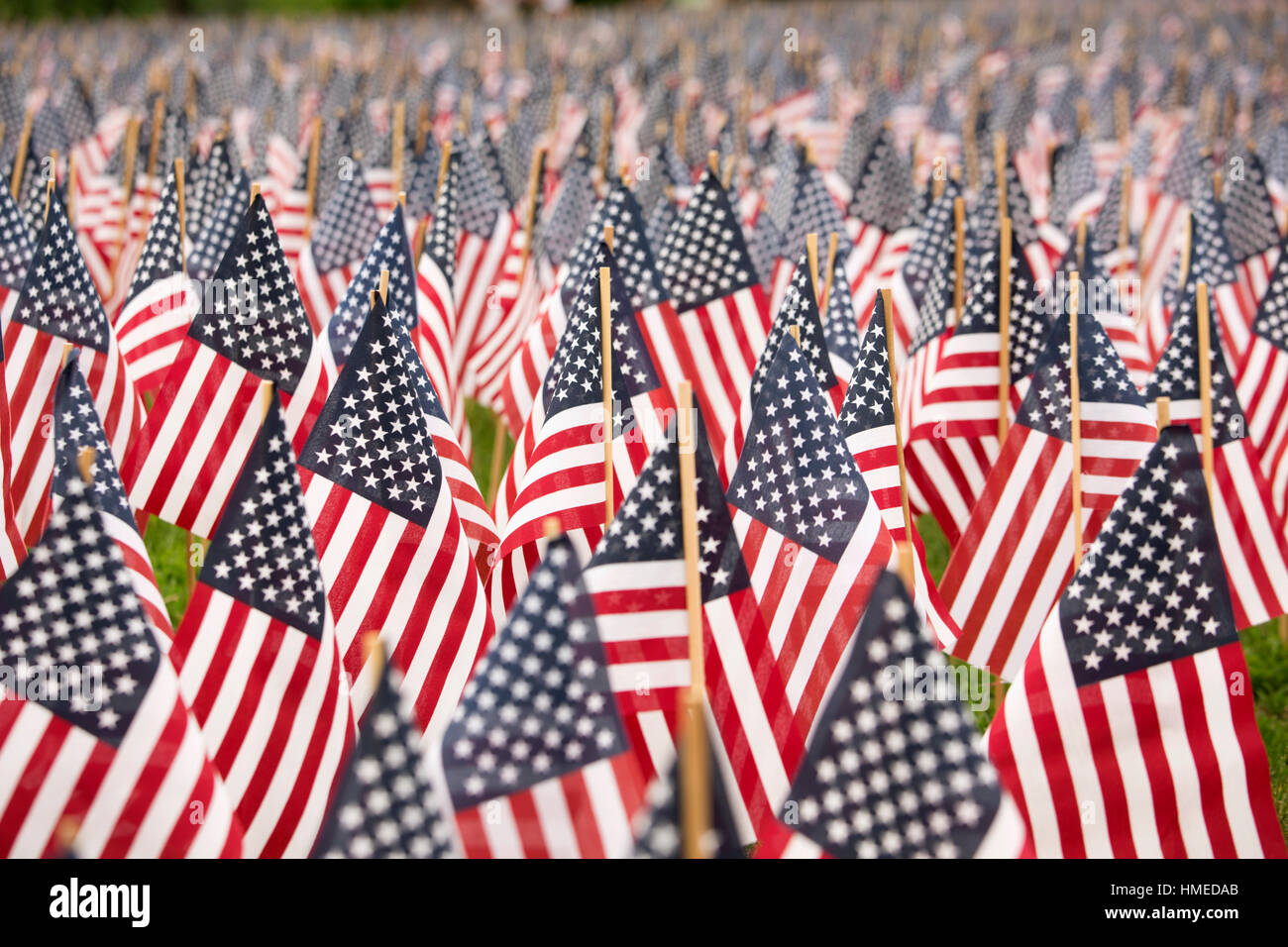 Memorial Day flags, Boston Common, Boston, MA Stock Photo Alamy
