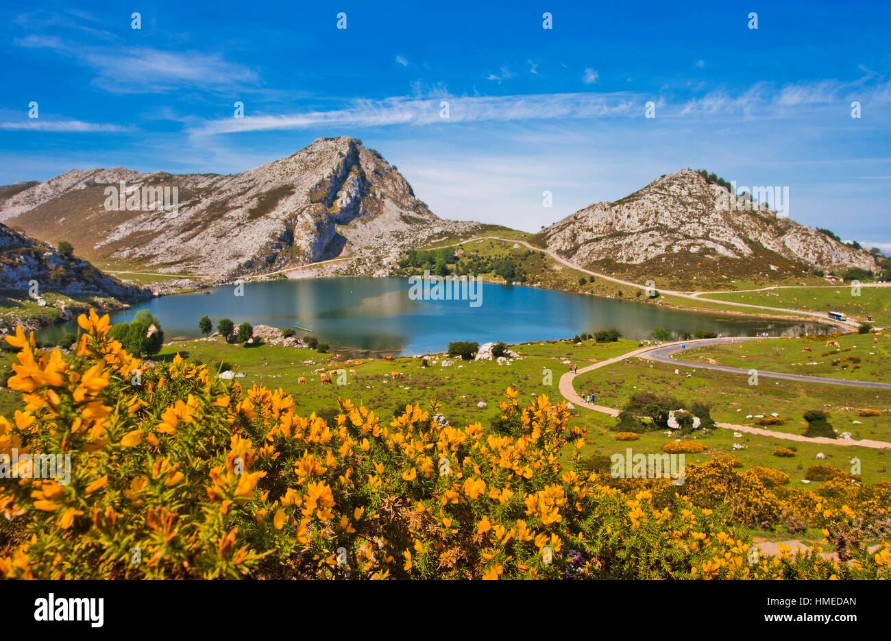 Enol Lake, The Lakes of Covadonga, Cangas de Onis Council, Peaks of