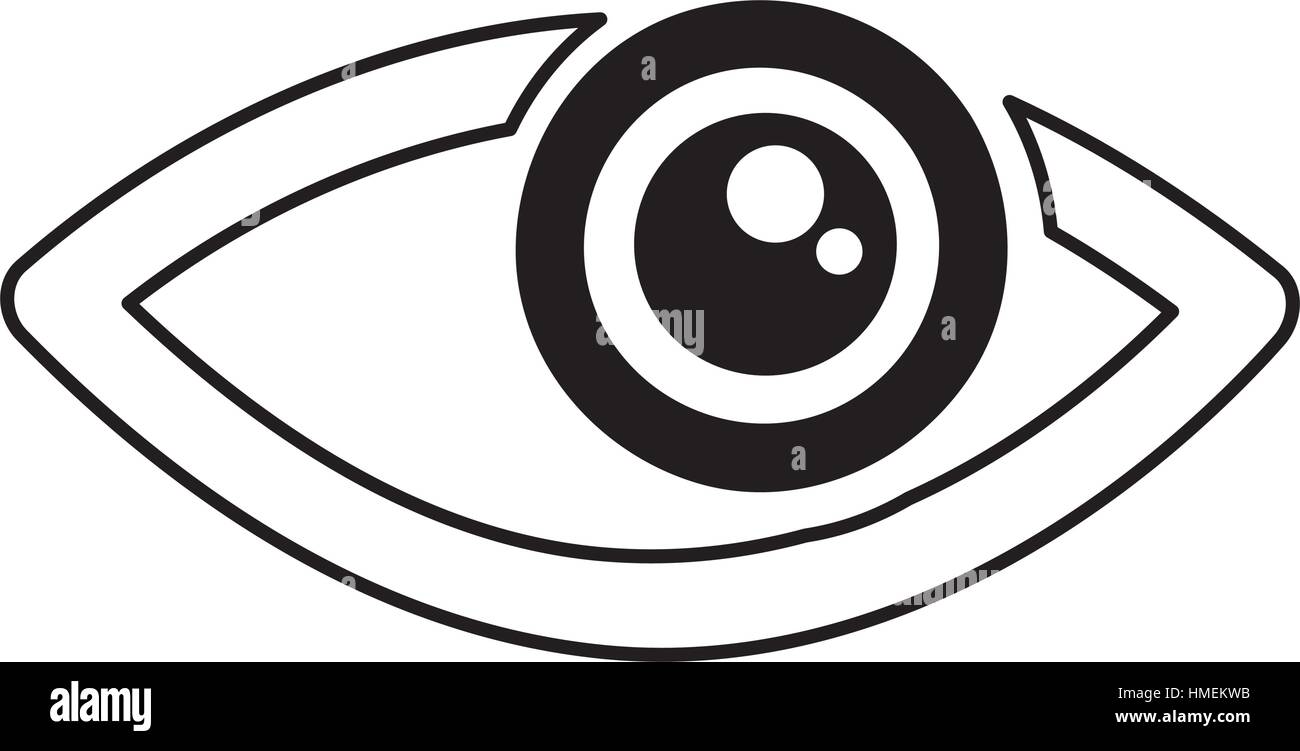 eye human sign isolated icon vector illustration design Stock Vector ...
