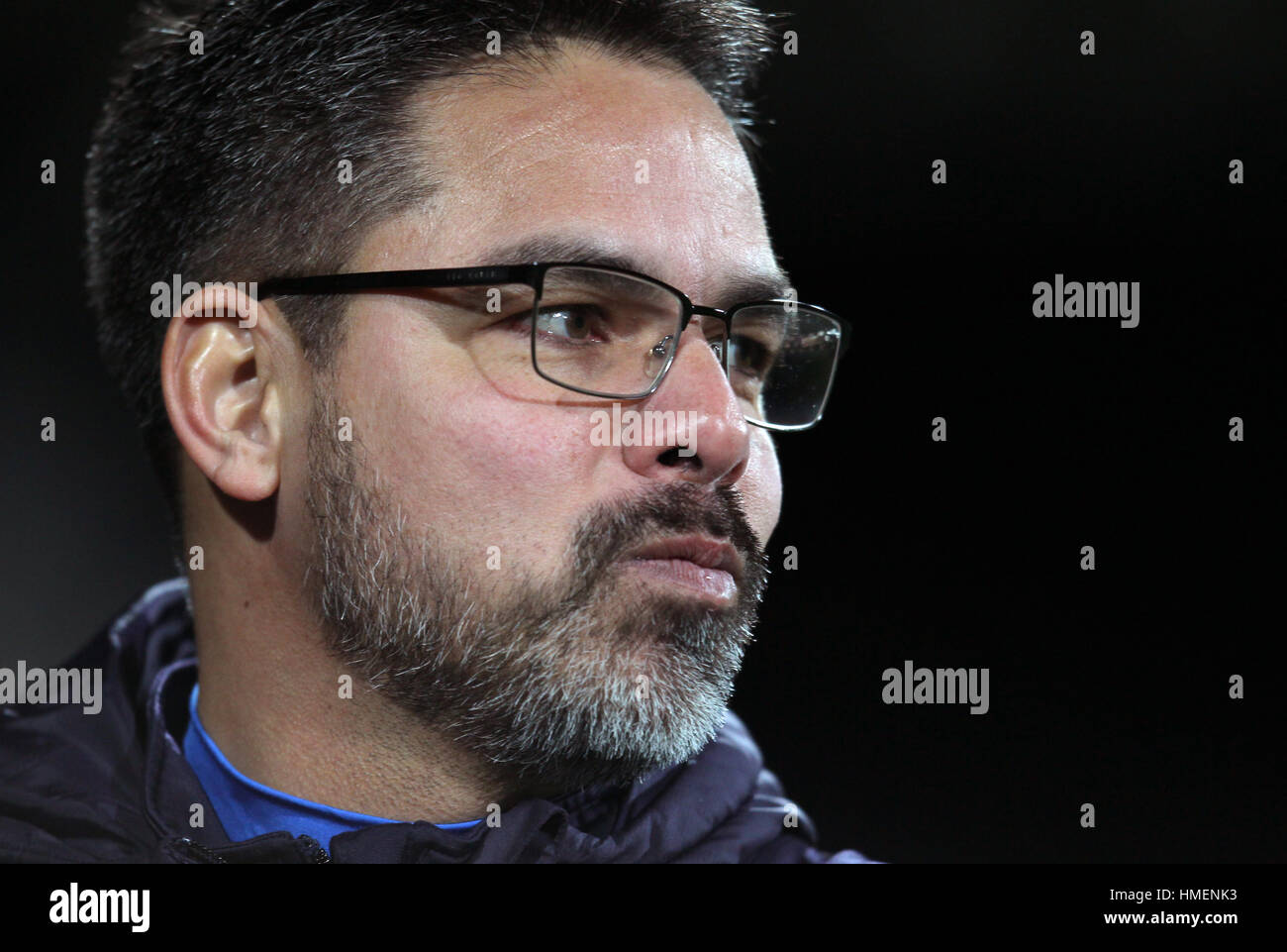 Huddersfield Town manager David Wagner during the Sky Bet Championship