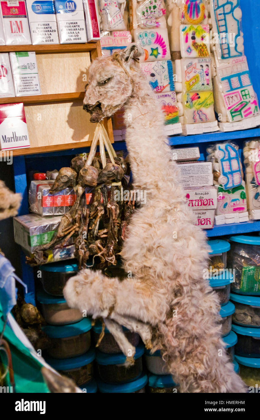 Dried llama fetuses display in a chiflera shop in the Witches Market in La Paz, for use in sacrifices to mother earth goddess Stock Photo
