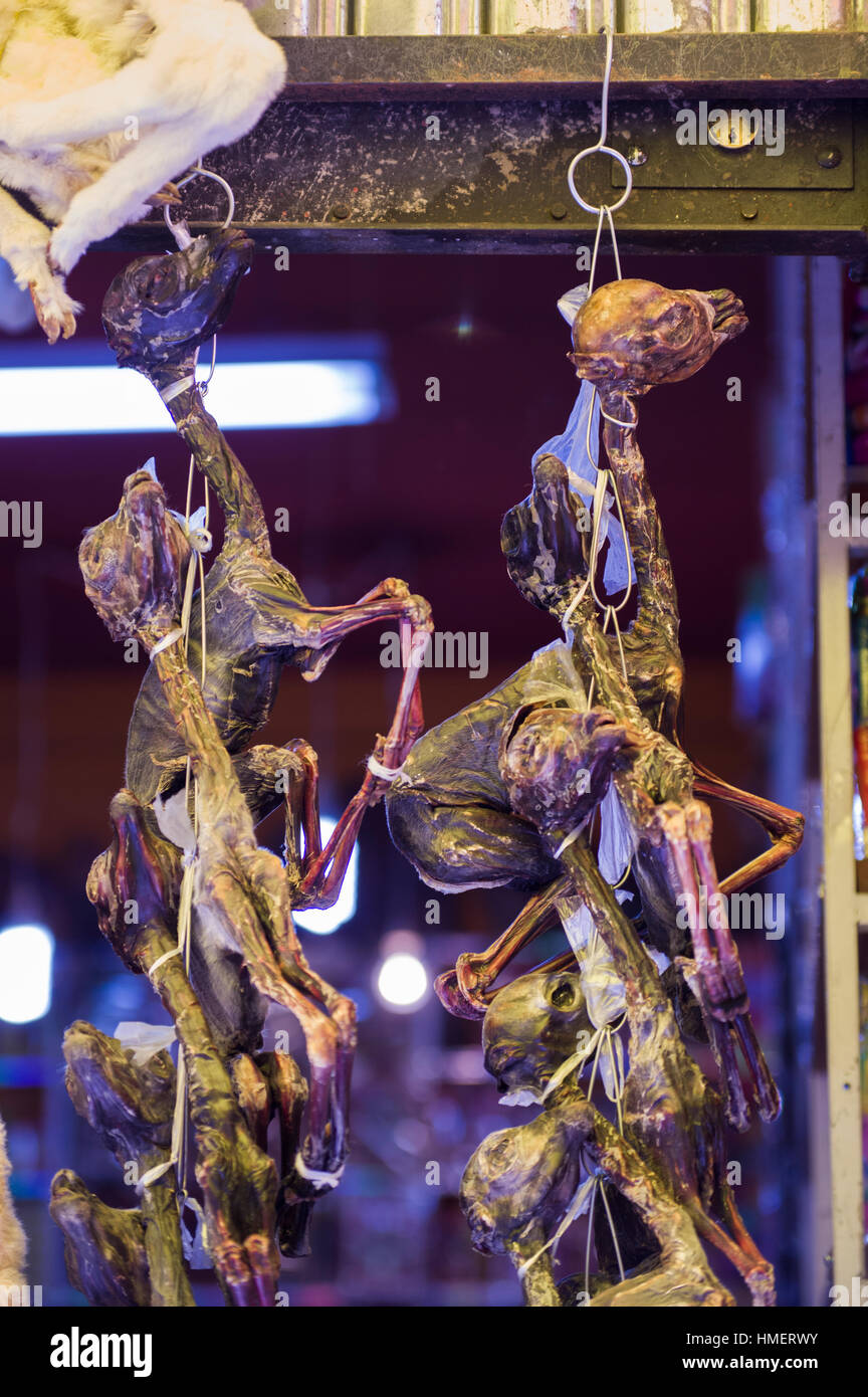 On display dessicated, dried llama fetuses for burning sacrifices, mesa, to la pachamama, mother earth deity, in La Paz, Bolivia Stock Photo