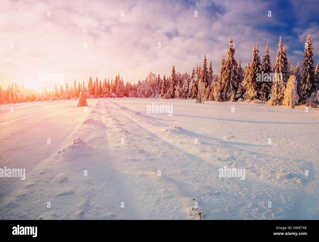 winter landscape trees in frost Stock Photo - Alamy