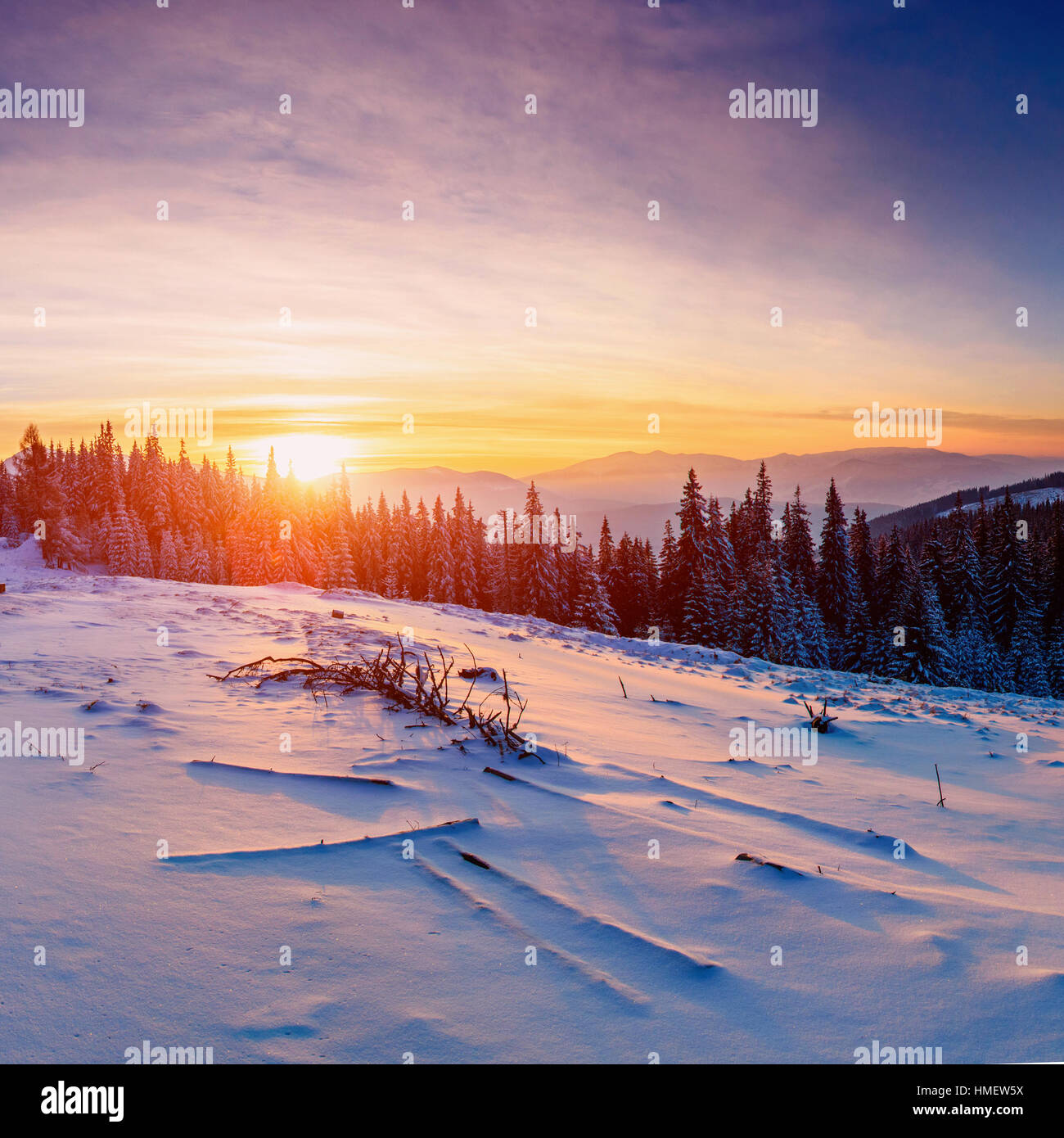 winter landscape trees in frost Stock Photo - Alamy