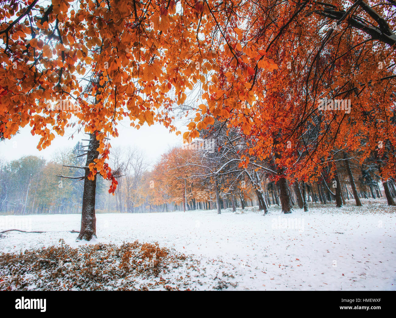 first days of winter Stock Photo Alamy