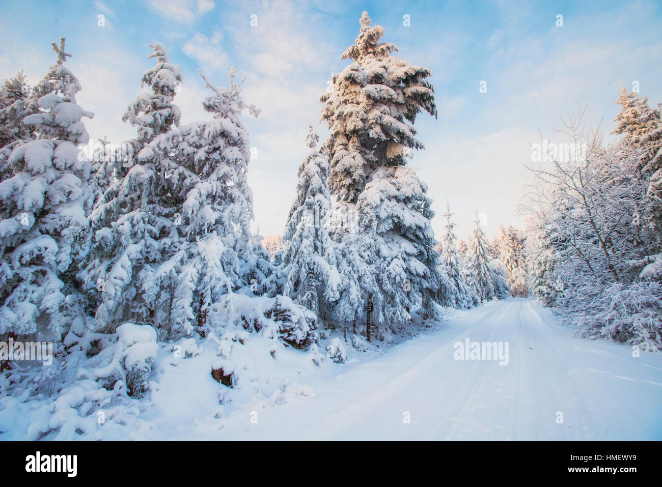 winter landscape trees in snow Stock Photo - Alamy