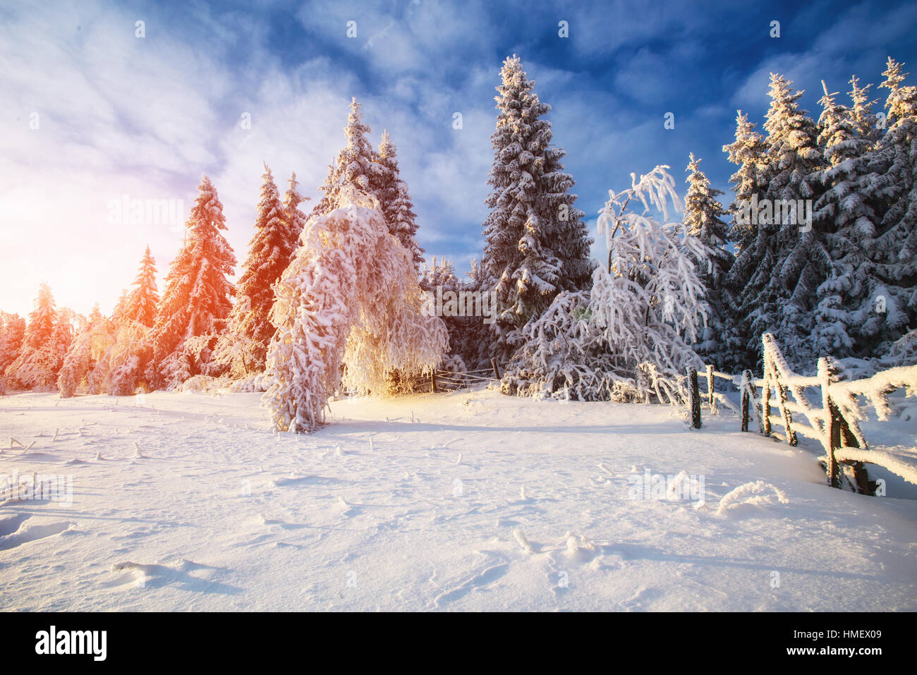 winter landscape trees in snow Stock Photo - Alamy