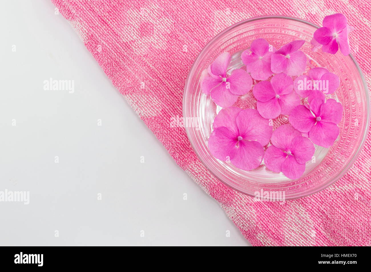 Hortensia spring flowers floating in a bowl of water Stock Photo