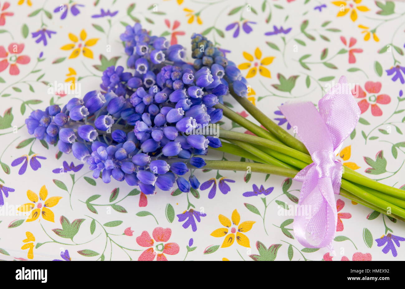 Bluebell spring flowers on top of flower pattern case Stock Photo
