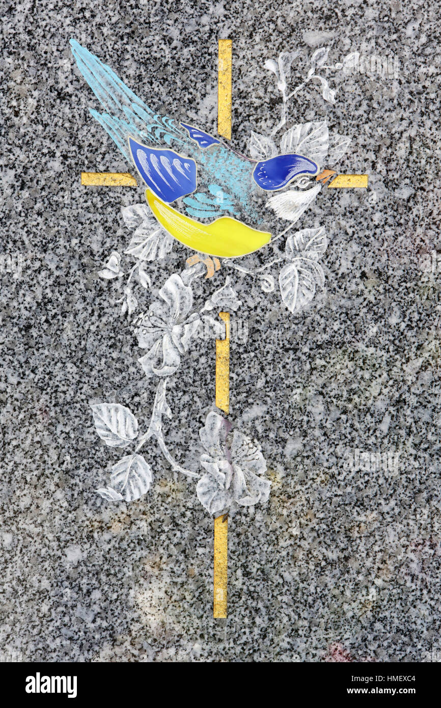 Oiseau tombé hires stock photography and images Alamy