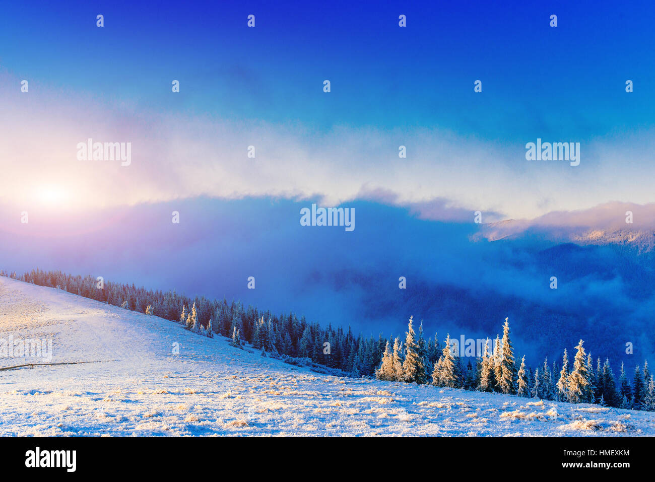 winter landscape trees in frost Stock Photo - Alamy