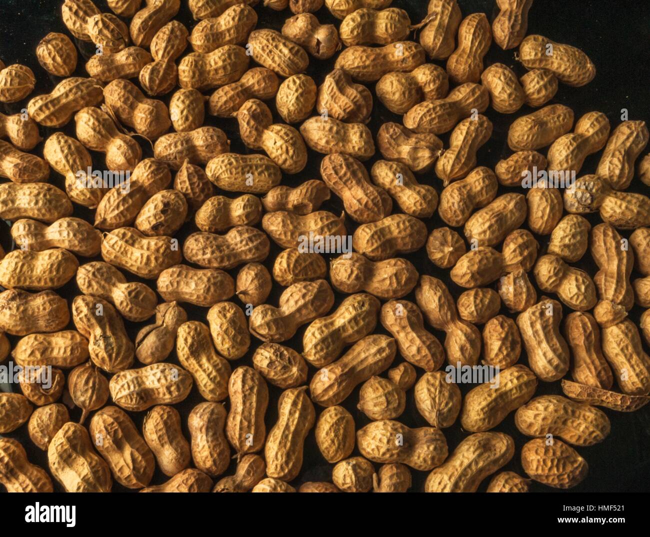 A spread of peanuts in the shell Stock Photo Alamy
