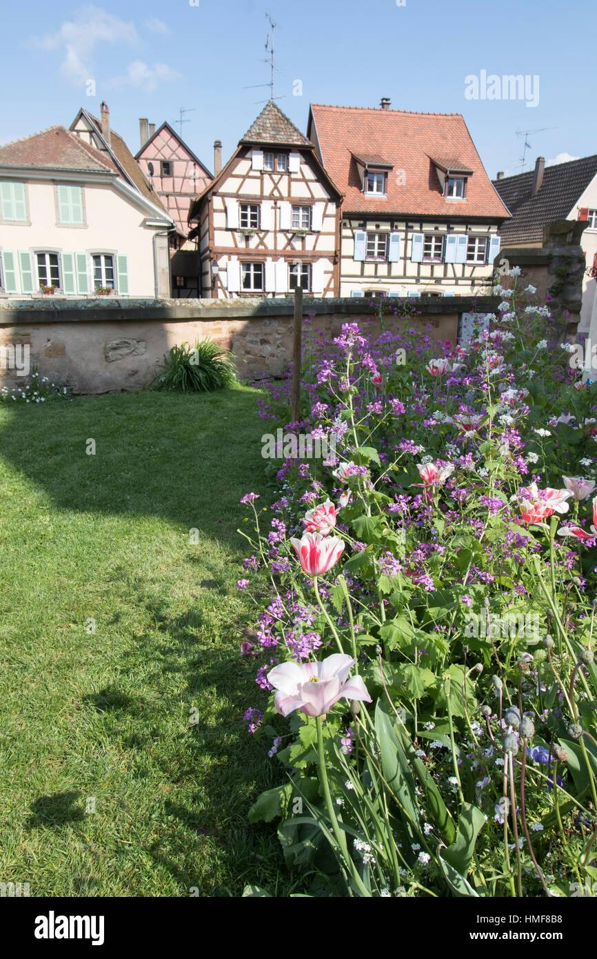 Eguisheim village, traditional colorful houses in Alsace, France Stock