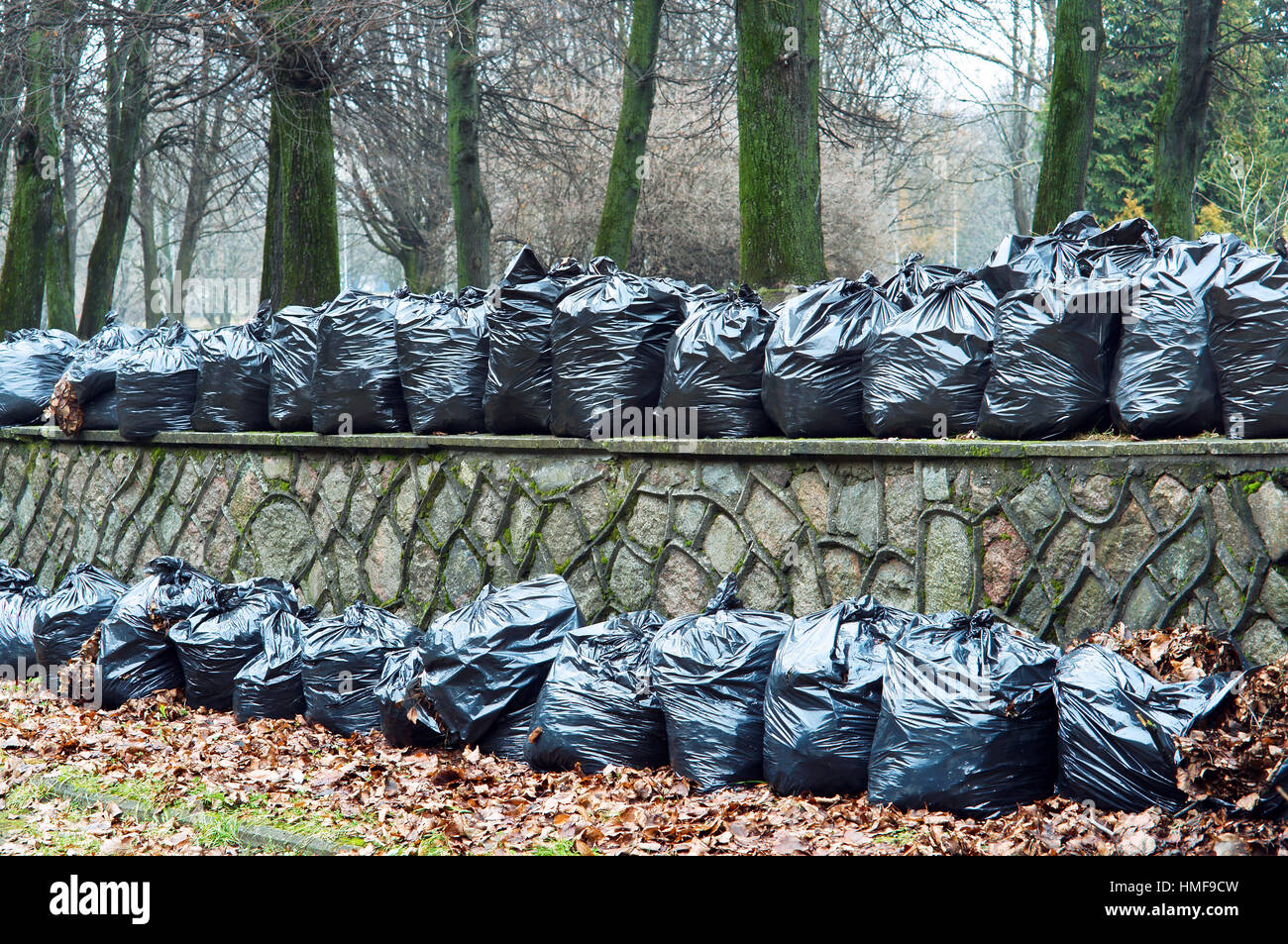 garbage bags filled with dry autumn leaves in a Park on the street