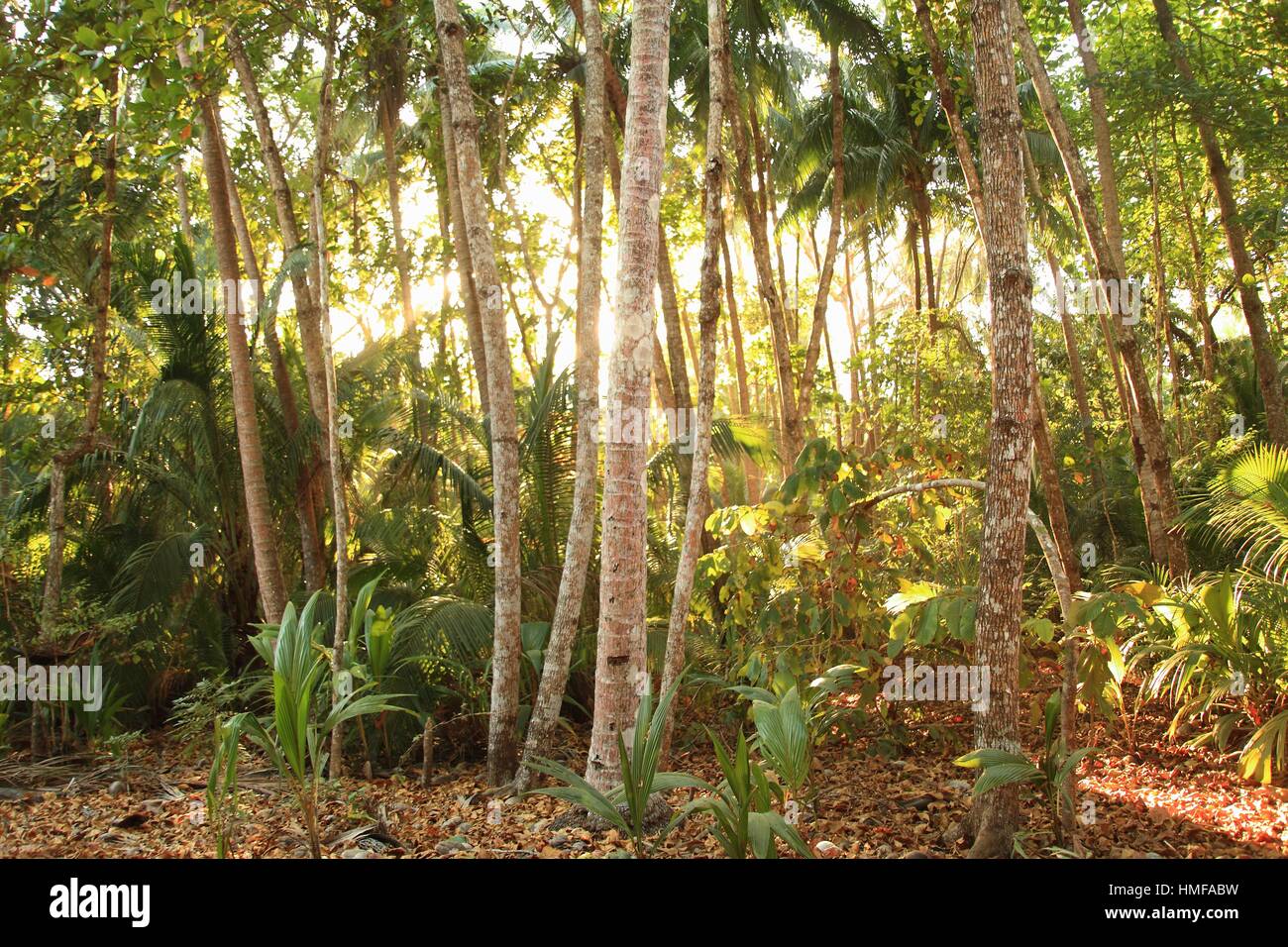 Refugio Nacional de Vida Silvestre Curú, Costa rica Stock Photo Alamy