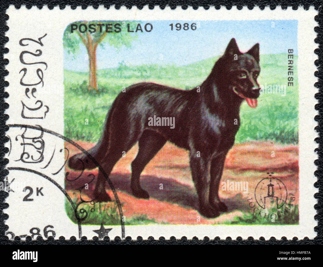 A postage stamp printed in Aos shows a dog  German Shepherd, from series Breeds of dogs , circa 1986 Stock Photo