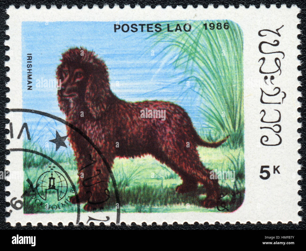 A postage stamp printed in Aos shows a dog  Irish Water Spaniel, from series Breeds of dogs , circa 1986 Stock Photo