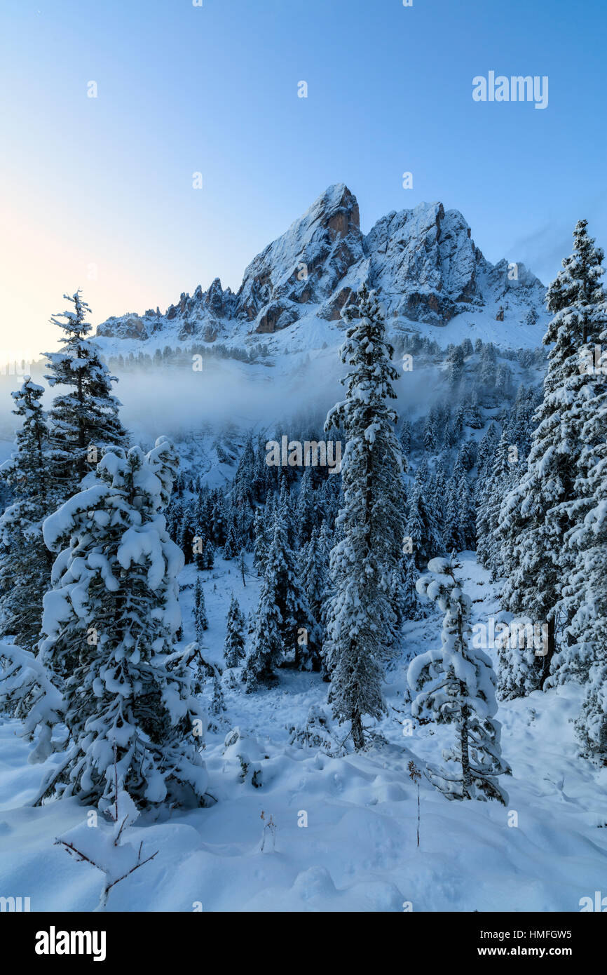 The high peak of Sass De Putia frames the snowy woods at dawn, Passo Delle Erbe, Funes Valley, South Tyrol, Italy Stock Photo