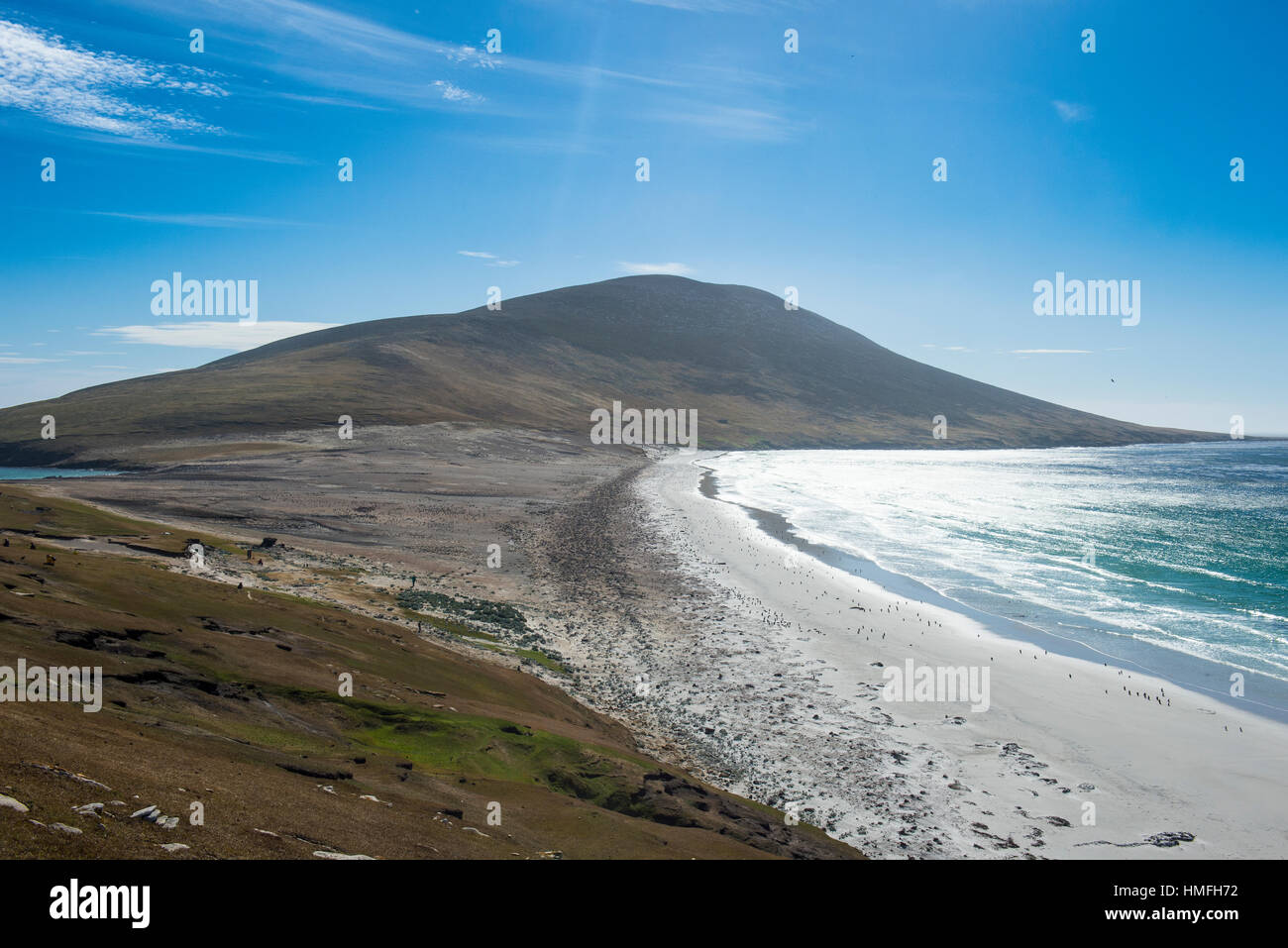 The Neck isthmus on Saunders Island, Falklands, South America Stock Photo