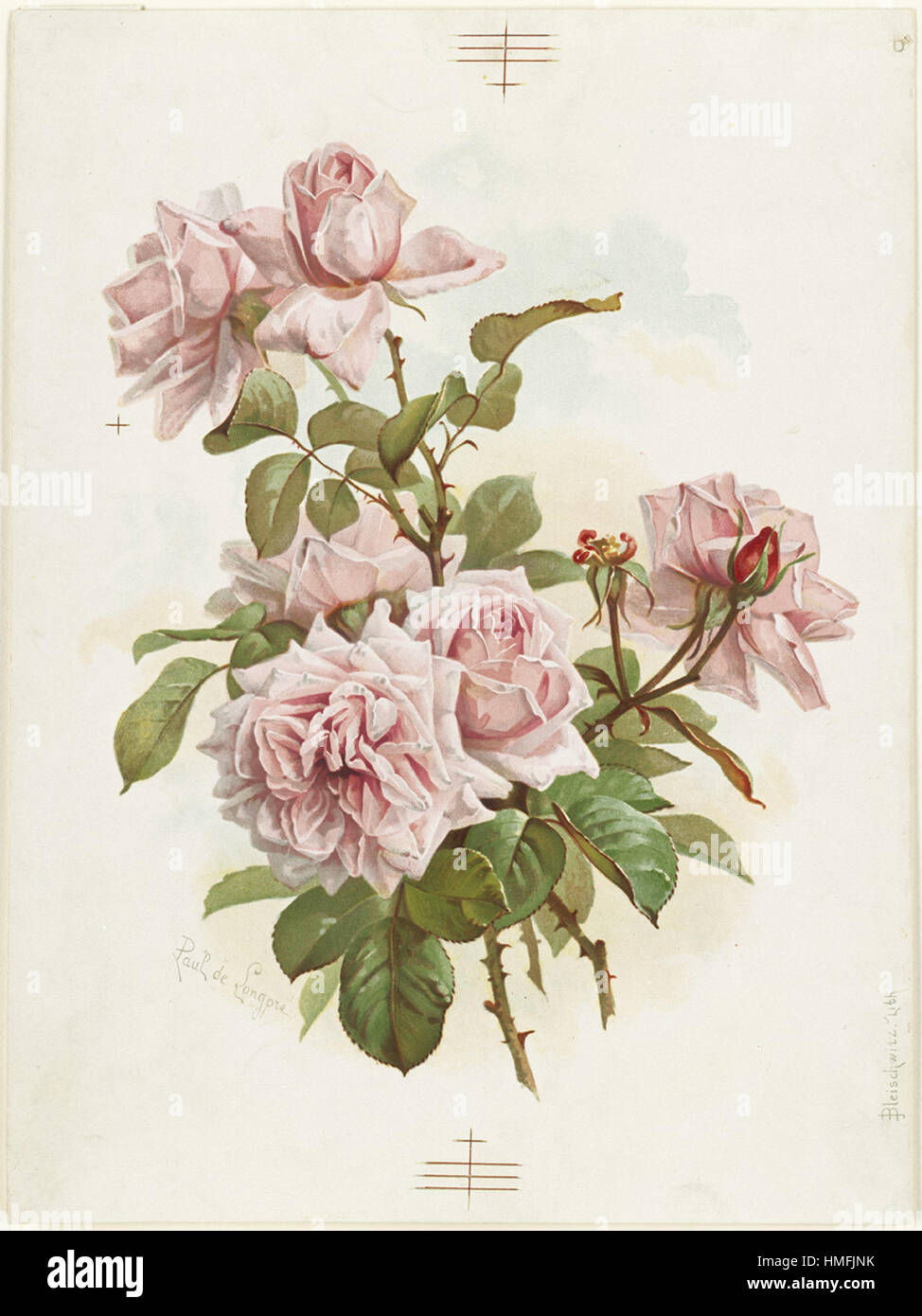 Louis Prang -  Pink Roses; La France Roses Stock Photo