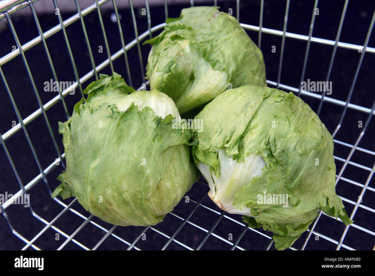Purchases of iceberg lettuce are limited to three per customer at a Tesco store in Kennington, London, as lettuce became the latest staple to fall victim to the European vegetable shortage 'crisis'. Stock Photo