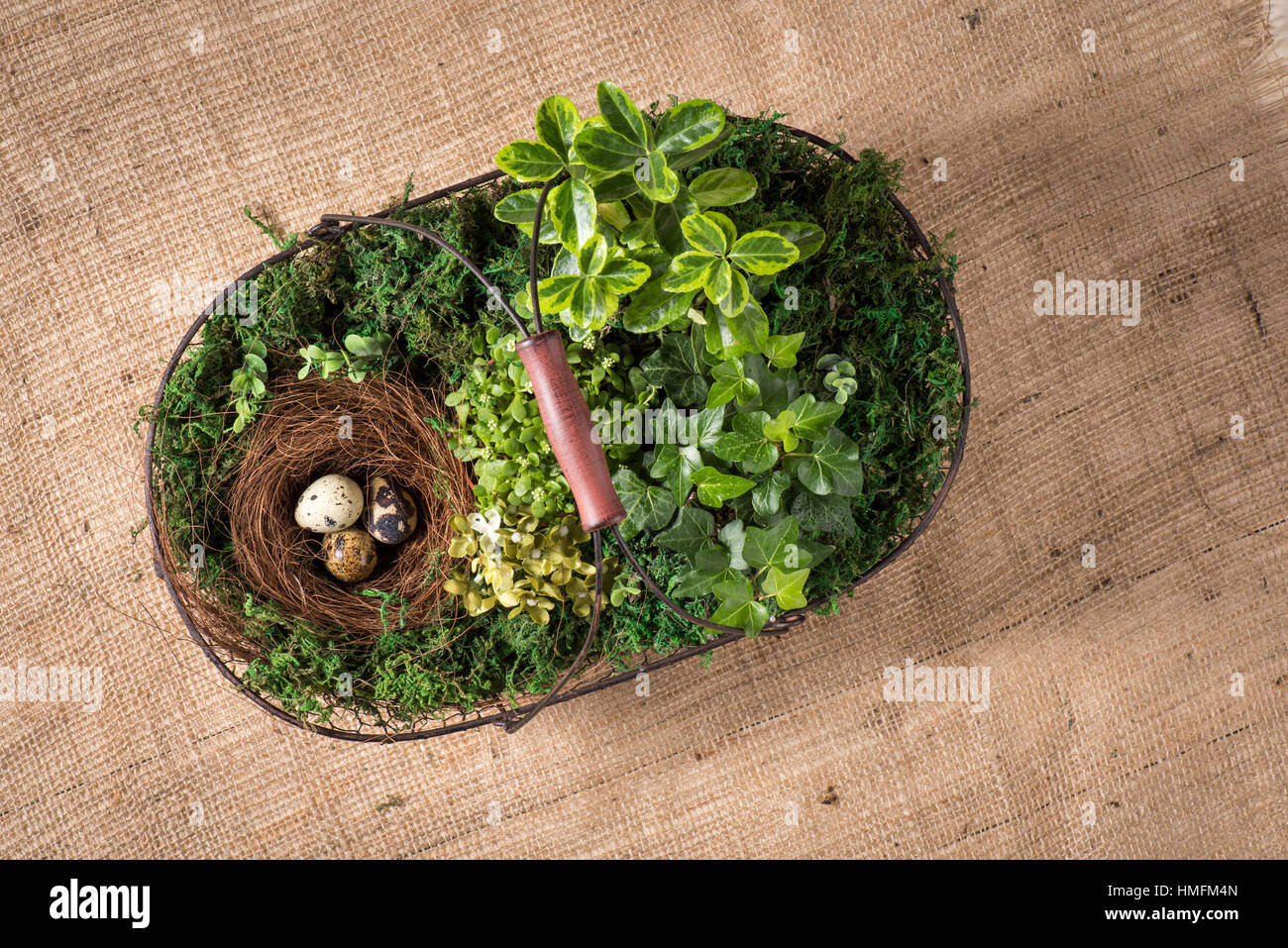 Basket with plants and eggs Stock Photo