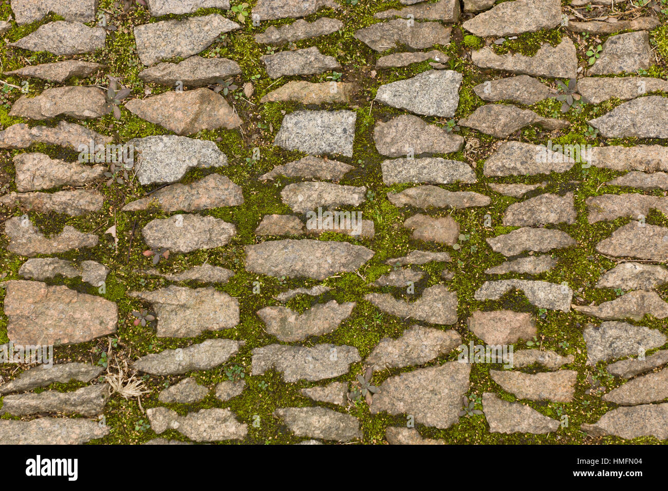 Block paving with moss growing between block, Suzhou, China Stock Photo