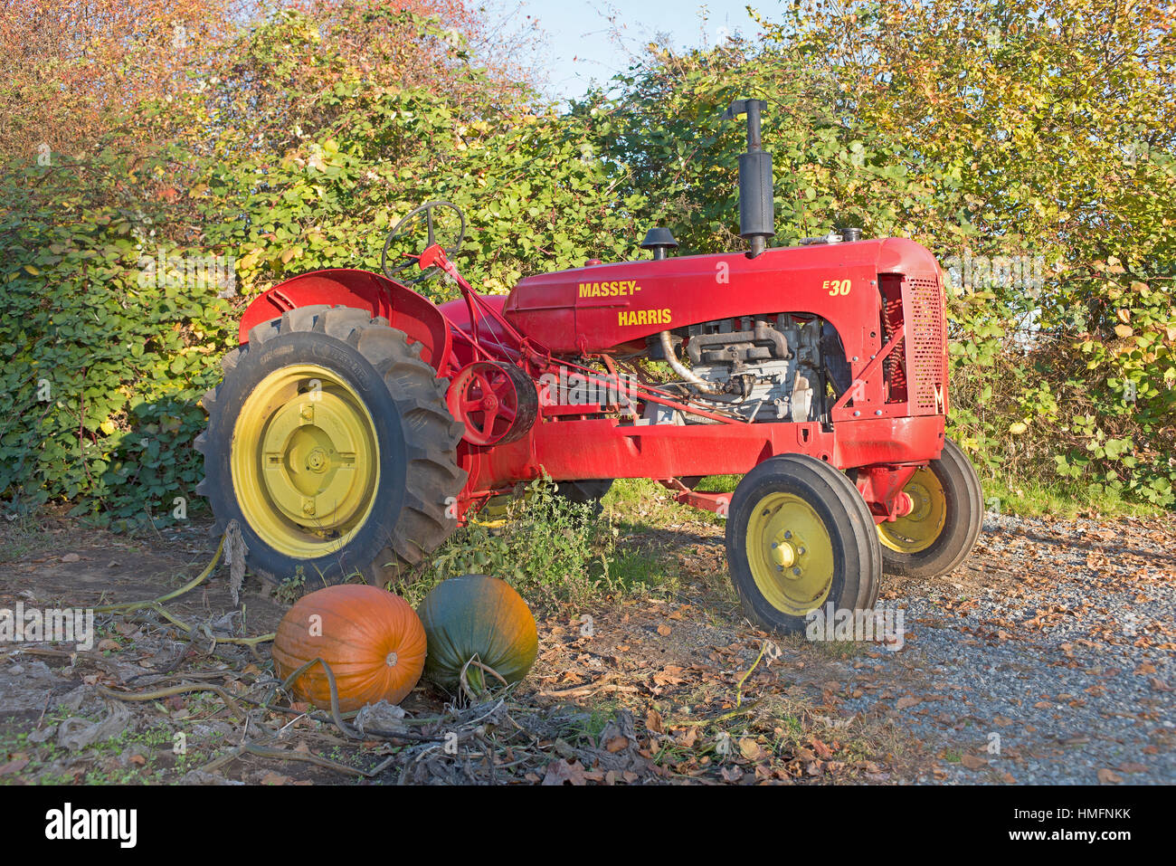 Massey Harris E 30 Vintage tractor near Comox, Vancouver Island. BC