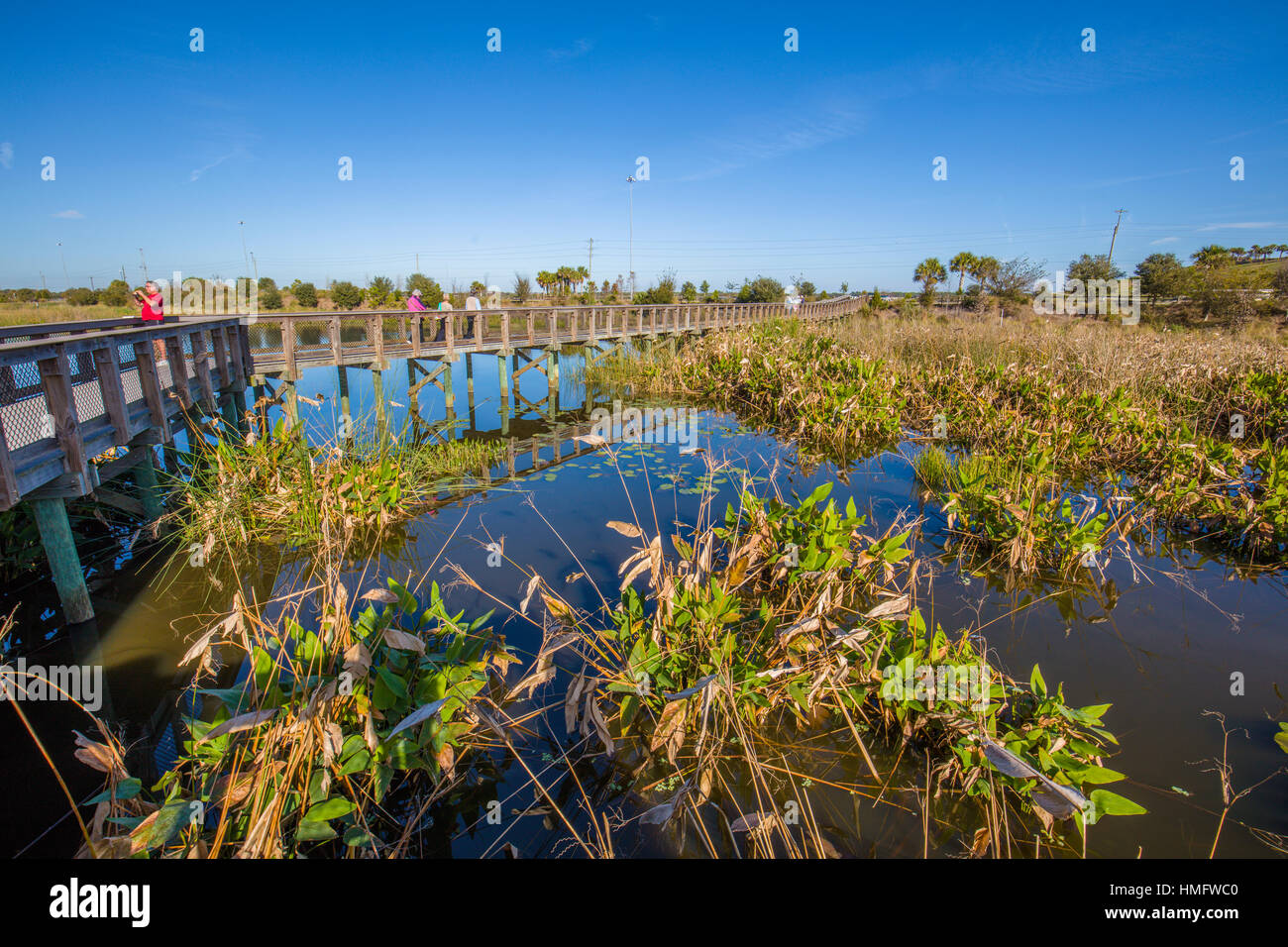 Boardwalk in the Celery Fields recreation and nature area in Sarasota